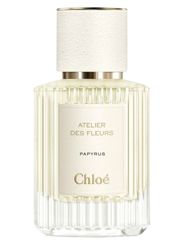 Chloé Papyrus