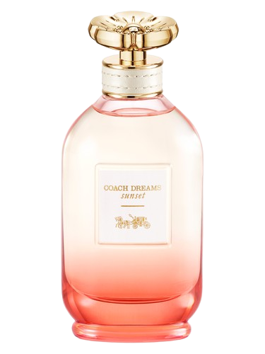 Coach Coach Dreams Sunset