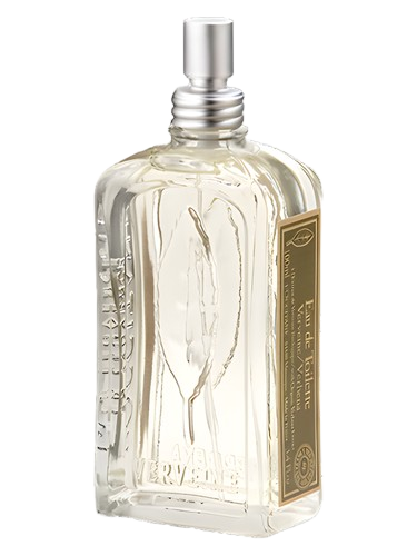 L'Occitane en Provence Verveine