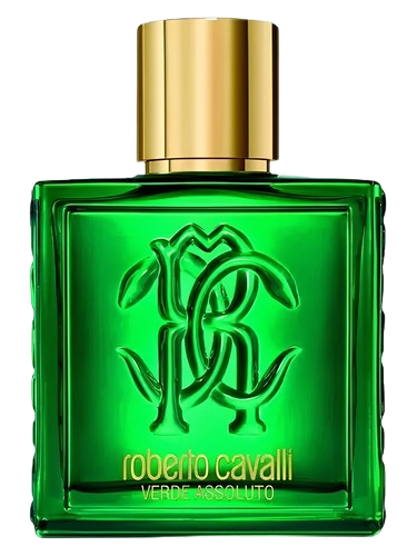 Roberto Cavalli Roberto Cavalli Uomo Verde Assoluto