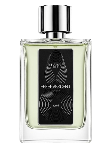 LAB 8 Effervescent