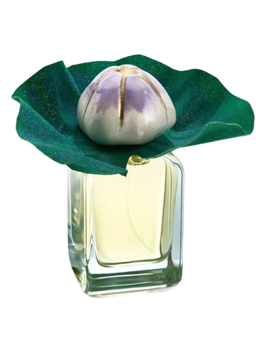 Mendittorosa Mauna