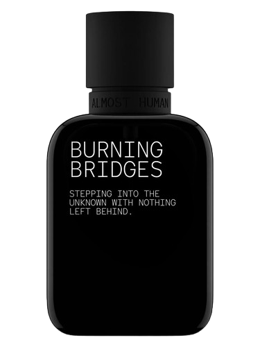 Almost Human Burning Bridges