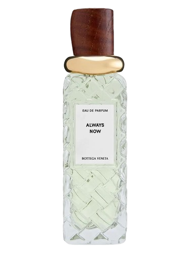 Bottega Veneta Always Now