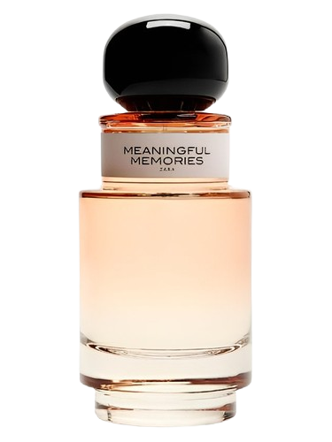 Zara Meaningful Memories
