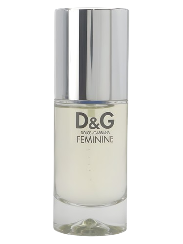 Dolce&Gabbana D&G Feminine