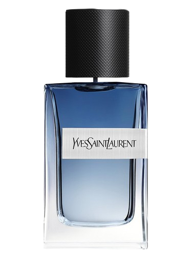 Yves Saint Laurent Y Live