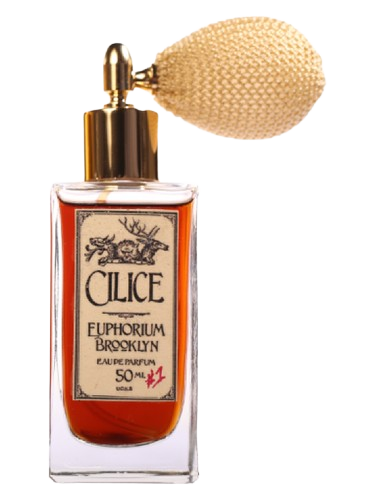 Euphorium Brooklyn Cilice