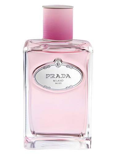 Prada Infusion de Rose