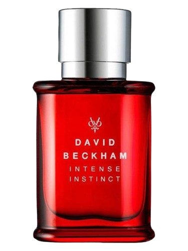 David Beckham Intense Instinct
