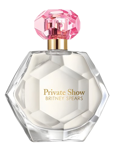 Britney Spears Private Show