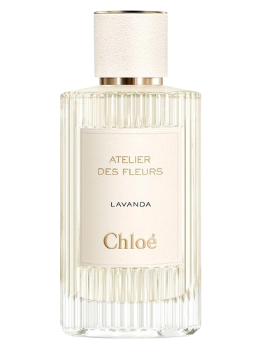 Chloé Lavanda