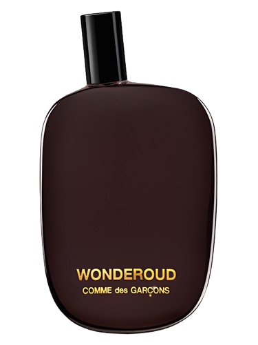 Comme des Garcons Wonderoud