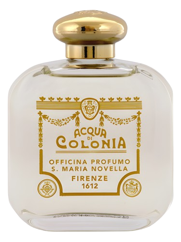 Santa Maria Novella Magnolia
