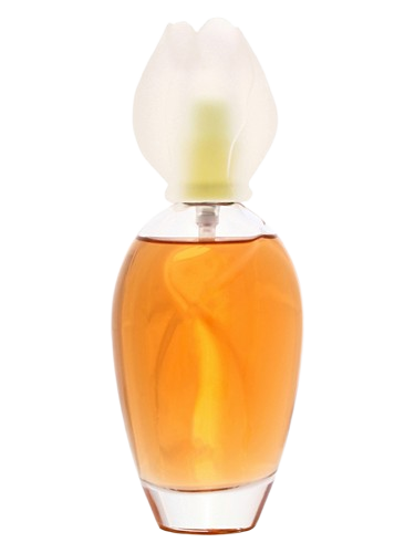 Chloé Fleur de Narcisse