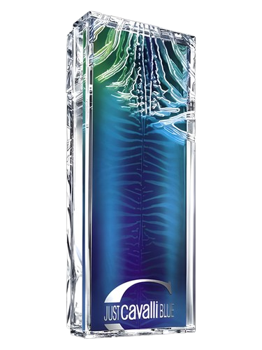 Roberto Cavalli Just Cavalli Blue