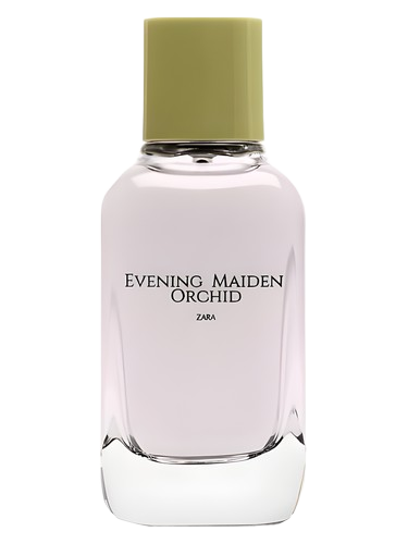 Zara Evening Maiden Orchid