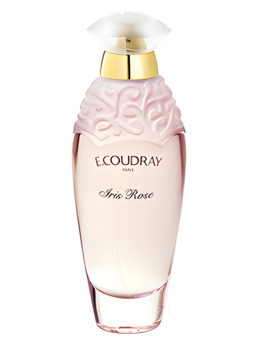 E. Coudray Iris Rose