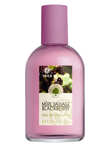 Yves Rocher Mure Sauvage