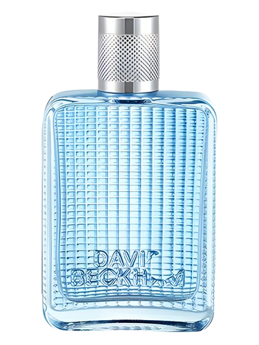 David Beckham The Essence