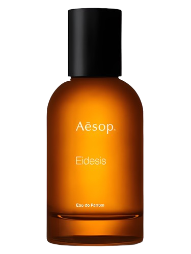 Aesop Eidesis