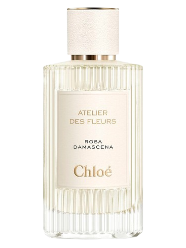 Chloé Rosa Damascena