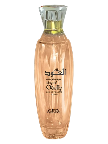 Nabeel King Of Oudh