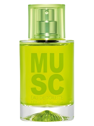 Solinotes Musc