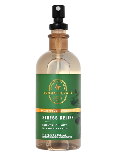 Bath & Body Works Eucalyptus Spearmint