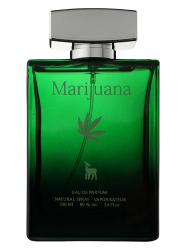 Kolmaz Marijuana