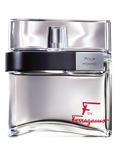Salvatore Ferragamo F by Ferragamo Pour Homme