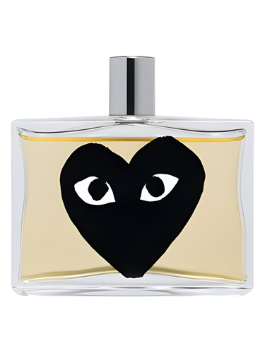 Comme des Garcons Black