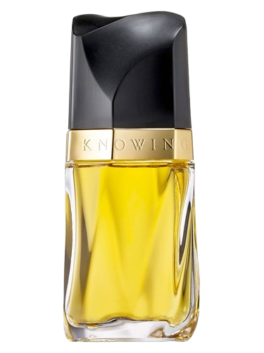 Estée Lauder Knowing