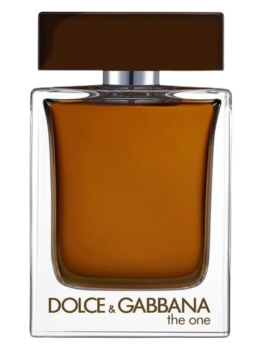Dolce&Gabbana The One Pour Homme Eau de Parfum
