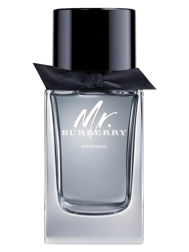 Burberry Mr. Burberry Indigo