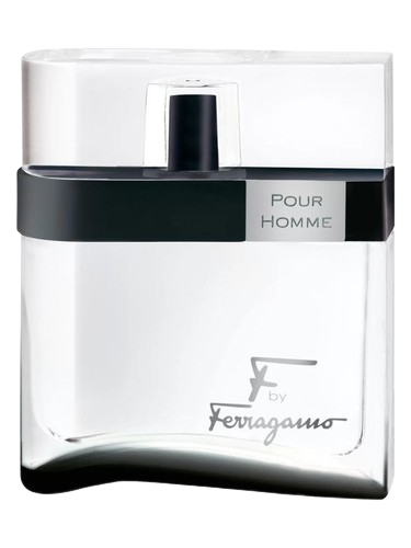 Salvatore Ferragamo F by Ferragamo Black