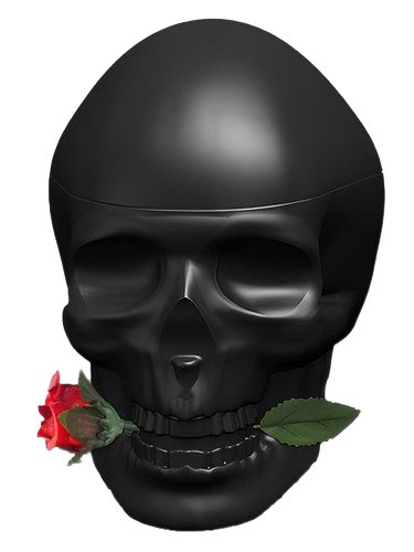 Christian Audigier Ed Hardy Skulls & Roses for Him