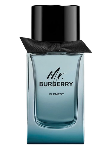 Burberry Mr. Burberry Element