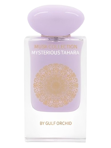Gulf Orchid Mysterious Tahara